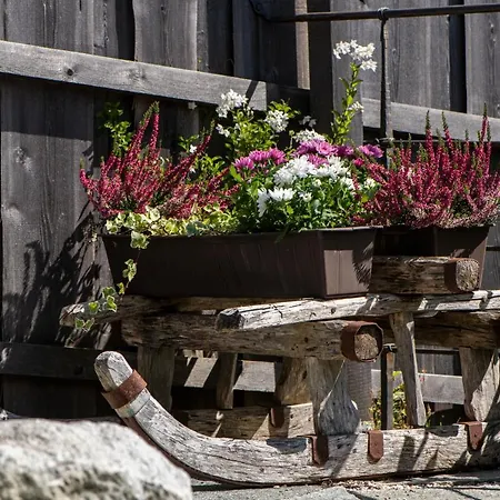 Alpe Goldener Hirsch דירה שארניץ