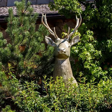 Alpe Goldener Hirsch Apartment Scharnitz