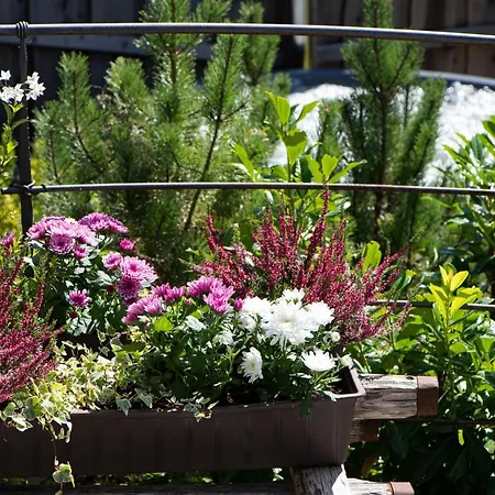 Alpe Goldener Hirsch * שארניץ