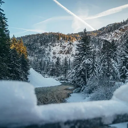 Alpe Goldener Hirsch Lejlighed *