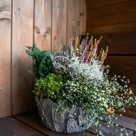 דירה Alpe Goldener Hirsch *