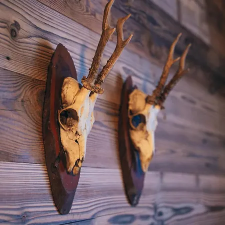 Alpe Goldener Hirsch * שארניץ