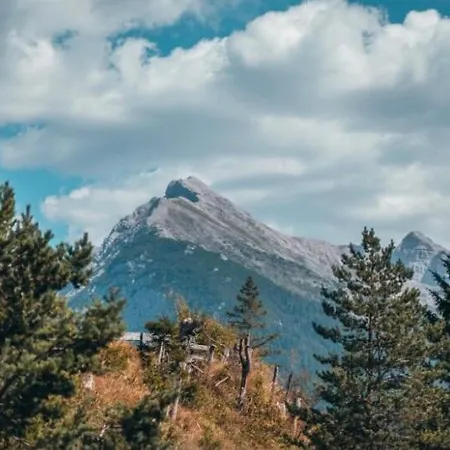 Alpe Goldener Hirsch Apartment *