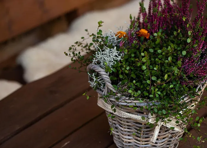 Alpe Goldener Hirsch