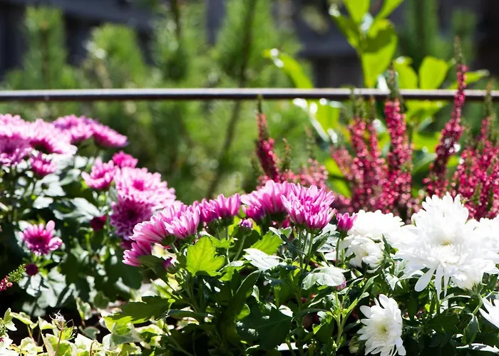 Alpe Goldener Hirsch Lägenhet Scharnitz