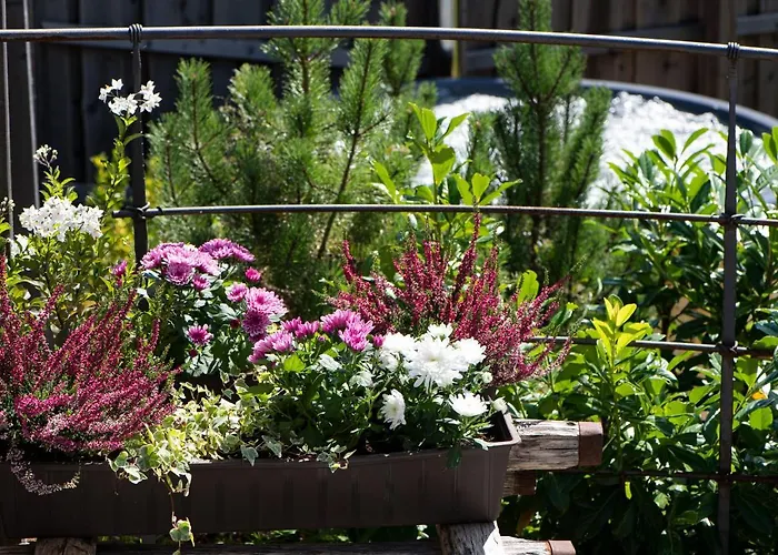 Alpe Goldener Hirsch * Scharnitz