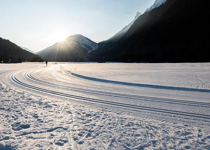Alpe Goldener Hirsch Scharnitz