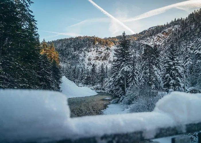 Alpe Goldener Hirsch Lägenhet *