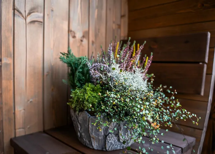 Lägenhet Alpe Goldener Hirsch *