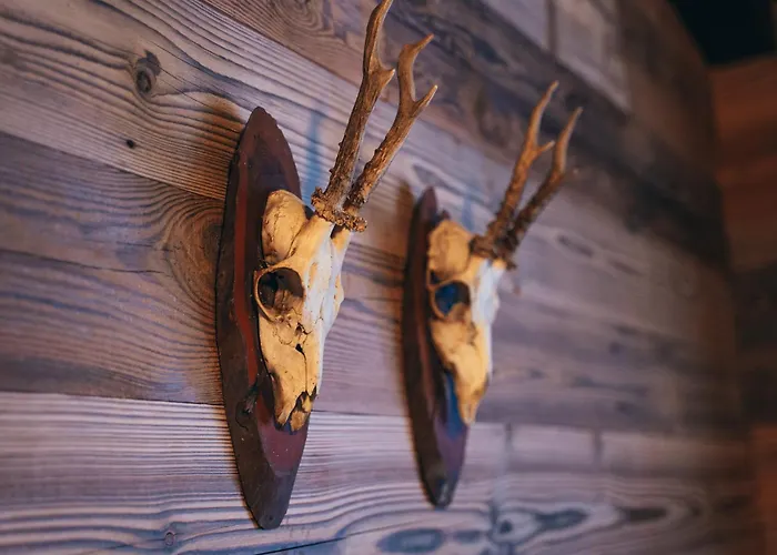 Alpe Goldener Hirsch * Scharnitz