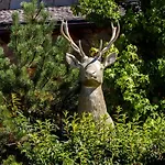Alpe Goldener Hirsch Lägenhet Scharnitz