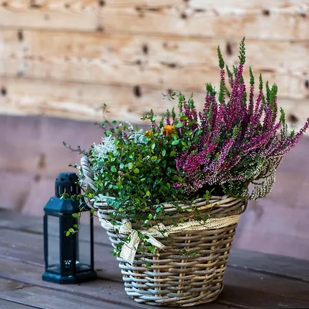 Alpe Goldener Hirsch דירה שארניץ