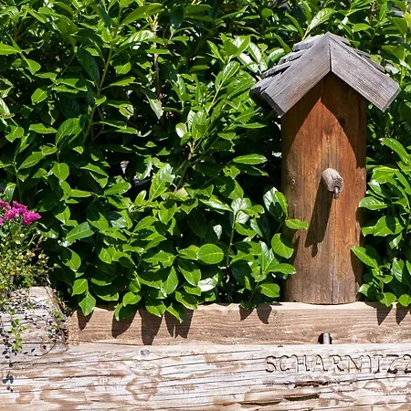 Alpe Goldener Hirsch דירה *