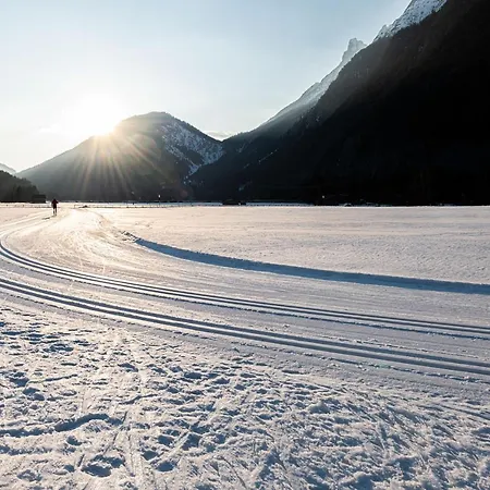 Alpe Goldener Hirsch שארניץ