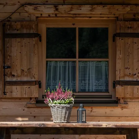 Alpe Goldener Hirsch * שארניץ