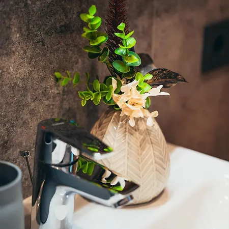 Alpe Goldener Hirsch דירה שארניץ